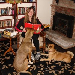 Hawkeye Petcare