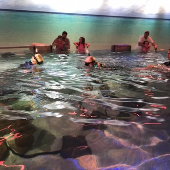 SeaQuest - Utah - Aquariums Near Me - Layton, Utah SeaQuest - Utah - Aquariums Near Me - Layton, Utah