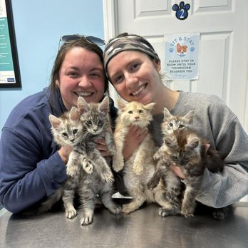 Falls Vet Care - Veterinarians Near Me - Moscow Mills, Missouri Falls Vet Care - Veterinarians Near Me - Moscow Mills, Missouri