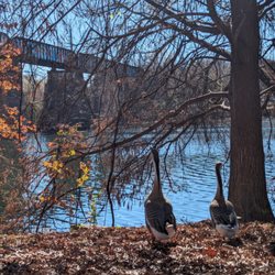 Hippie City Bike Tours - Come meet the friendly critters that call Austin home