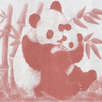 New Top China - a panda bear and its cub - Chinese Near Me - Durham, North Carolina