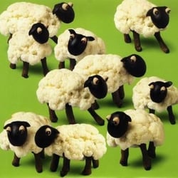 Art of Salad - Cauliflower Sheep