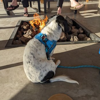 Ofland Escalante - Living his best life. - Hotels Near Me - Escalante, Utah Ofland Escalante - Living his best life. - Hotels Near Me - Escalante, Utah