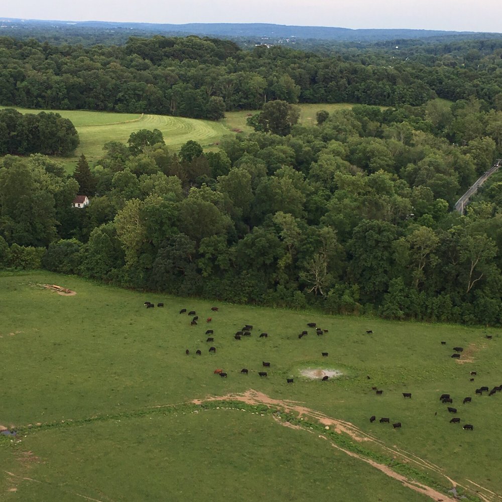 Air Ventures - Hot Air Balloons Near Me - Glenmoore, Pennsylvania