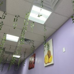 Five Spot Frozen Yogurt - Inside