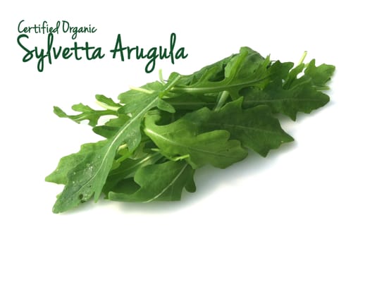 Blue Moon Acres Buckingham, PA by null