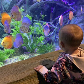 Via Aquarium - Aquariums Near Me - Schenectady, New York Via Aquarium - Aquariums Near Me - Schenectady, New York