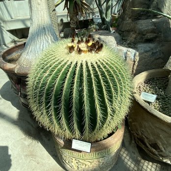 Albuquerque Biological Park - Cactus greenhouse - Landmarks & Historical Buildings Near Me - Albuquerque, New Mexico