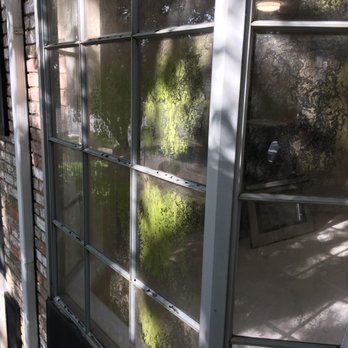 Tim's Exterior Cleaning - We can clean this - Window Washing Near Me