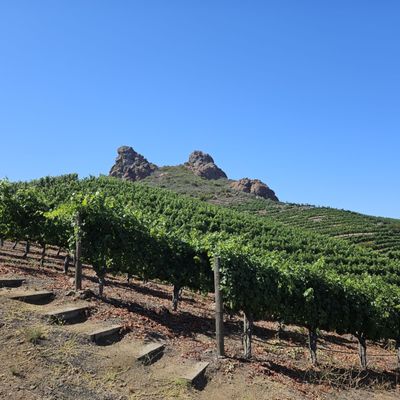 Saddlerock Ranch by null