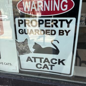 Sip & Purr Cat Cafe - Pet Adoption Near Me - Milwaukee, Wisconsin