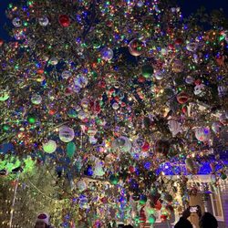 Christmas Tree Lane - This tree is my favorite.