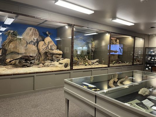 Hi-Desert Nature Museum by null
