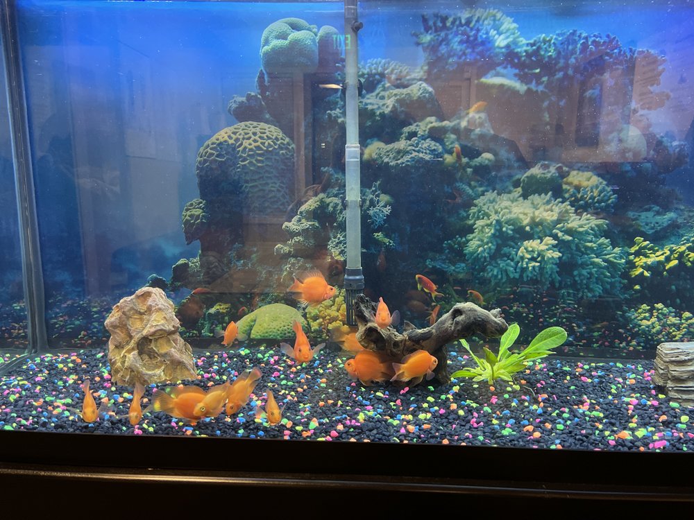 FOOT LOUNGE Updated October 2024 10 Photos & 18 Reviews 983 S