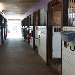 Tk Brooke Stables - Main barn stalls