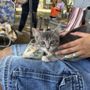 Photo of Mimi'Z petting zoo