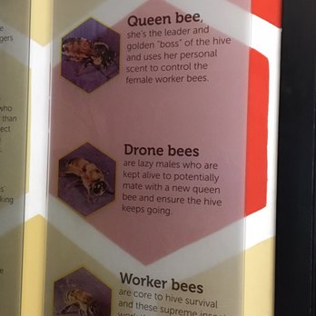 Huka Honey Hive - More fun facts! - Specialty Food Near Me - Taupo, WKO Huka Honey Hive - More fun facts! - Specialty Food Near Me - Taupo, WKO