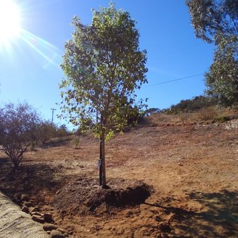 Moon Valley Nurseries - Third installation - Landscaping Near Me - Escondido, California Moon Valley Nurseries - Third installation - Landscaping Near Me - Escondido, California