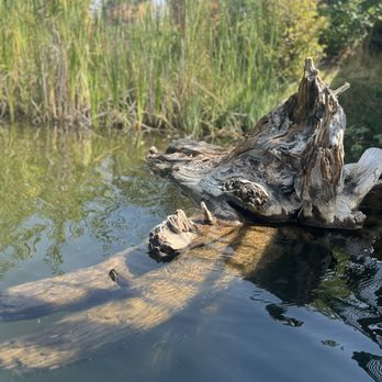 Quinn's Pond - Paddleboarding Near Me - Boise, Idaho