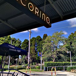 Pecorino