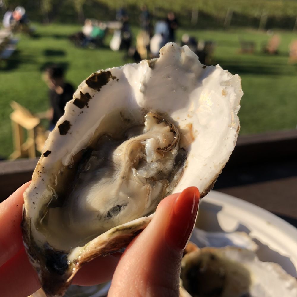 Palmer Vineyards - Oysters - Wineries Near Me - Aquebogue, New York Palmer Vineyards - Oysters - Wineries Near Me - Aquebogue, New York