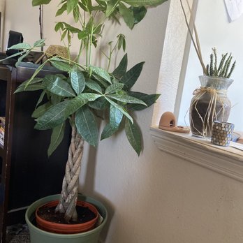 Lowe S Home Improvement 11 Photos 19 Reviews Hardware Stores 3200 North Main Street Las Cruces Nm Phone Number Yelp