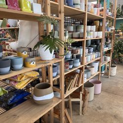 Fang Pet & Garden Supply