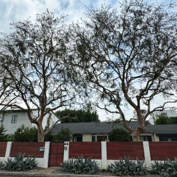 ArborCare - Tree Services Near Me ArborCare - Tree Services Near Me