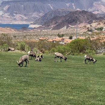 Hemenway Valley Park - Recreation Centers Near Me - Boulder City, Nevada