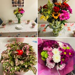Flowers 4 Season - 5/9/22 - My First Mother's Day Bouquet | Plant