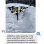 Photo of DoggieVIP Philly