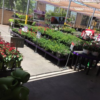 Walmart - They still have a decent garden area - Grocery Near Me - Fresno, California