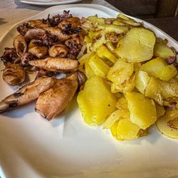 Zagreb - Calamari and potato's