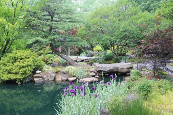 Gibbs Gardens by null