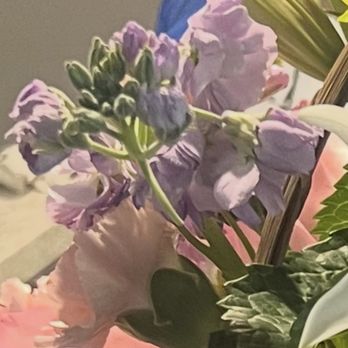 Sicola's Florist - Flowers in at 12:03 day after receiving - Florists Near Me - Houston, Texas