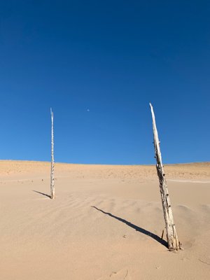 Sleeping Bear Dunes National Lakeshore by null