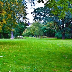Arenbergpark