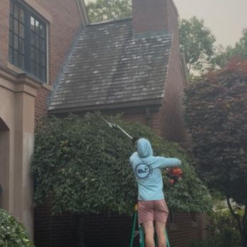 Lawn Care Essentials - Lawn Services Near Me - North Andover, Massachusetts Lawn Care Essentials - Lawn Services Near Me - North Andover, Massachusetts