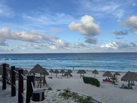 Dolphins Beach by null