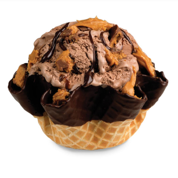 Cold Stone Creamery - Ice Cream & Frozen Yogurt Near Me - El Paso, Texas Cold Stone Creamery - Ice Cream & Frozen Yogurt Near Me - El Paso, Texas
