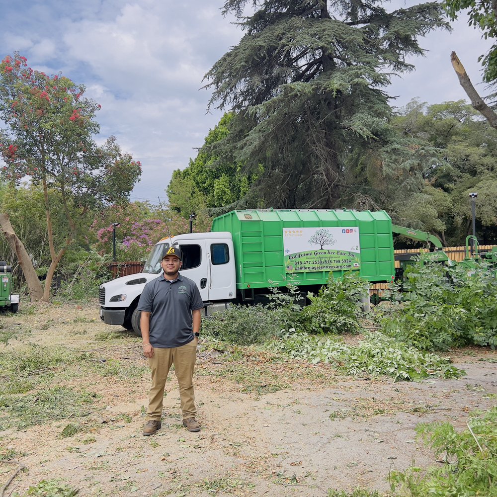 THE BEST 10 Tree Removal in Simi Valley, CA - Quality & Affordability -  Updated 2026 - Yelp