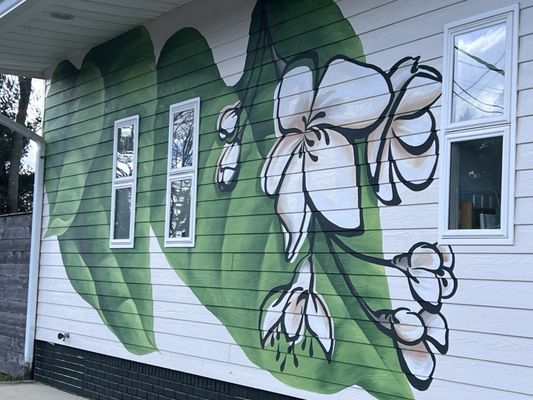 The Backyard by null