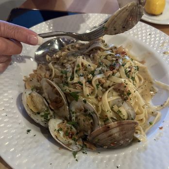 Nonna's - White Clam Sauce - Italian Near Me - Jensen Beach, Florida Nonna's - White Clam Sauce - Italian Near Me - Jensen Beach, Florida