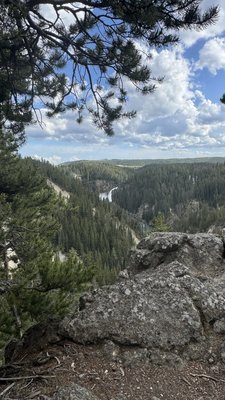 Grand Canyon of the Yellowstone by null