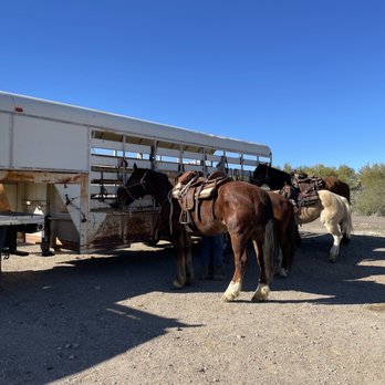 Wild West Trail Rides - Horse trailer getting ready to ride. - Horseback Riding Near Me - New River, Arizona Wild West Trail Rides - Horse trailer getting ready to ride. - Horseback Riding Near Me - New River, Arizona