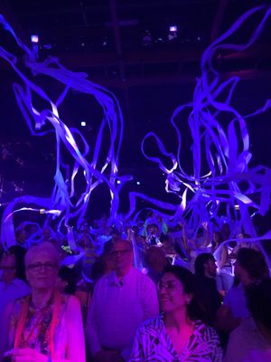 Briar Street Theatre by null