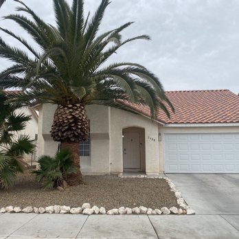 Treepro - After - Tree Services Near Me - Las Vegas, Nevada Treepro - After - Tree Services Near Me - Las Vegas, Nevada