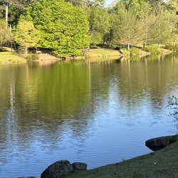 Avondale Lake - Peaceful Lake