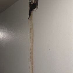 Vue On Macgregor Student Living - Disgusting and Stinky Hallways