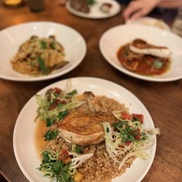Harissa Chix, Halibut, Bolognese